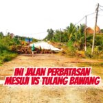 Perbandingan Jalan Dua Kabupaten Bertetangga Viral, Tulang Bawang Jadi Sorotan