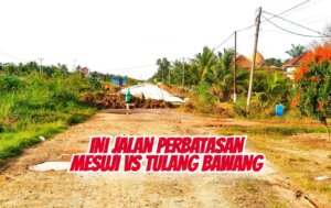 Perbandingan Jalan Dua Kabupaten Bertetangga Viral, Tulang Bawang Jadi Sorotan