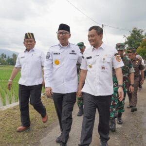 Prabowo Umumkan Swasembada Pangan, Produksi Padi Lampung Naik 15 Persen