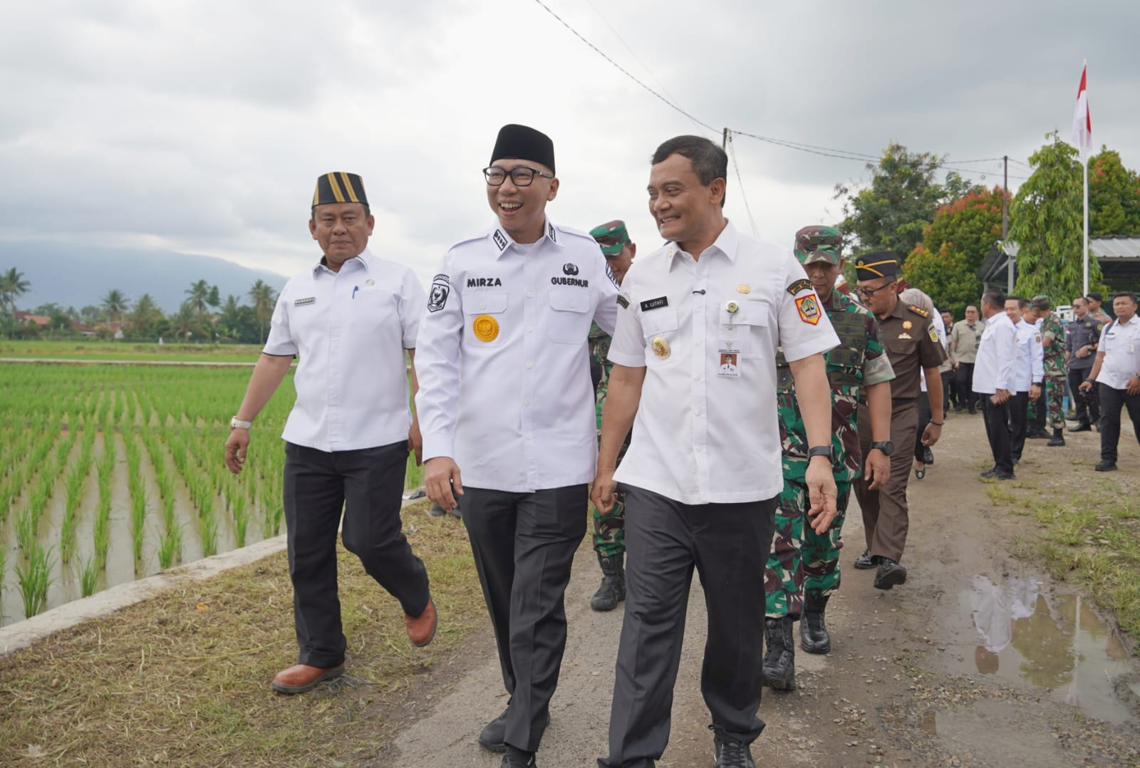 Prabowo Umumkan Swasembada Pangan, Produksi Padi Lampung Naik 15 Persen