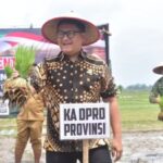 Ketua DPRD Lampung dan Forkopimda Tanam Padi di Lampung Timur, Perkuat Ketahanan Pangan Daerah