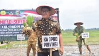 Ketua DPRD Lampung dan Forkopimda Tanam Padi di Lampung Timur, Perkuat Ketahanan Pangan Daerah