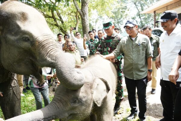 Banpres Rp 839 Miliar Digelontorkan untuk Way Kambas, Fokus Pagar, Kanal, dan Restorasi Ekosistem