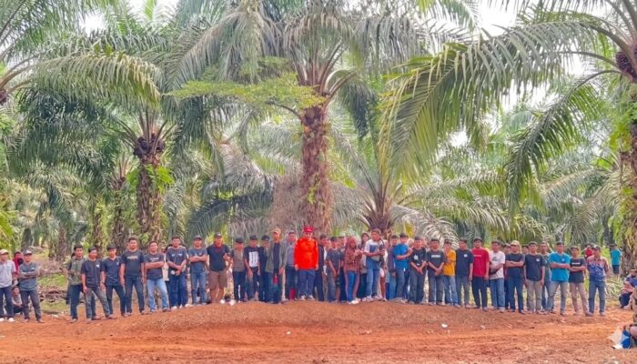 Euforia USAC Grasstrack Motocross 2026, Ribuan Penonton Padati Sirkuit Abenk Way Kanan