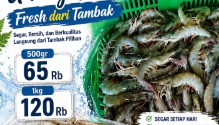 Al Iman Mart Gedong Meneng Jual Udang Vaname Langsung dari Tambak, Dijamin Segar