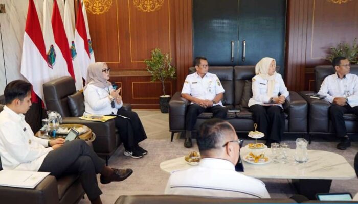 Akses Kesehatan Warga Lamsel Segera Lebih Dekat? Bupati Egi Jajaki Kerja Sama dengan RSUD BNH