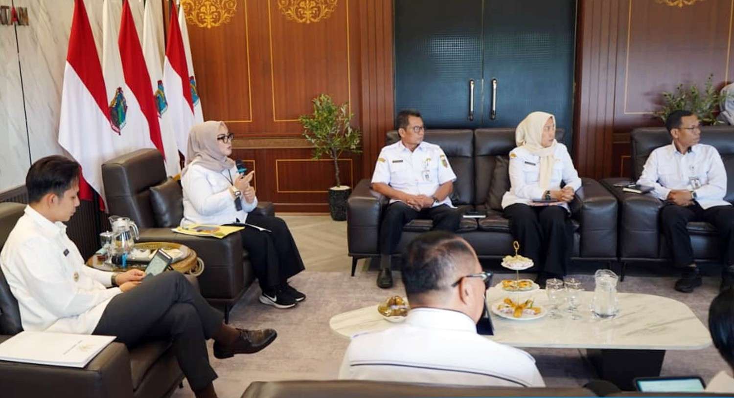 Akses Kesehatan Warga Lamsel Segera Lebih Dekat? Bupati Egi Jajaki Kerja Sama dengan RSUD BNH