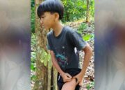 Serangan Satwa Siamang Terulang, Warga Waypanas Kembali Jadi Korban