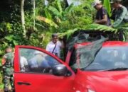 Satwa Liar Jenis Siamang Berhasil Dievakuasi Tim KSDA di Way Panas