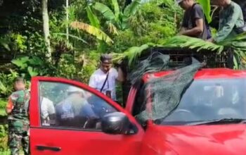 Satwa Liar Jenis Siamang Berhasil Dievakuasi Tim KSDA di Way Panas