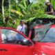 Satwa Liar Jenis Siamang Berhasil Dievakuasi Tim KSDA di Way Panas