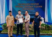 Dorong Nilai Tambah, Lampung Kirim Ekspor Tapioka dan Bidik Pasar Global