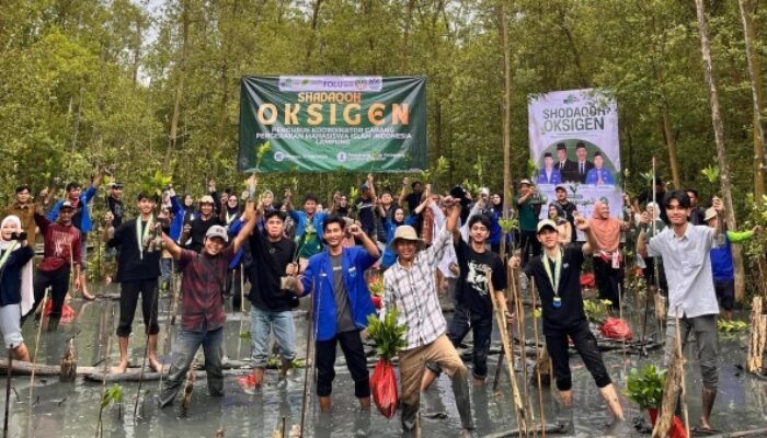 PMII Lampung Tanam Ribuan Mangrove di Pematang Pasir