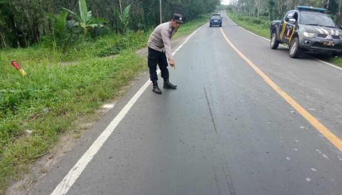 Jalan Licin Akibat Solar Tumpah, Pengendara Motor Alami Kecelakaan di Jalinsum Way Kanan