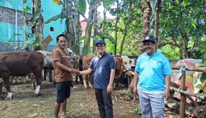 Dr. Sudrajat: Penyembelihan Hewan Qurban Masjid Al Iman Digelar Kamis