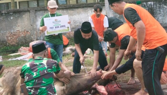 PWNU Lampung Terima Sapi Kurban, Bagikan Ribuan Paket Daging kepada Warga