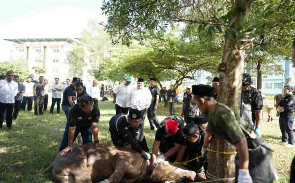 Semangat Idul Adha di UIN RIL, Kurban Jadi Jembatan Kepedulian dan Kebersamaan